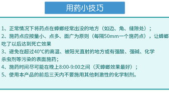食品工廠如何徹底消滅蟑螂？專家分享實(shí)用方法與運(yùn)營策略