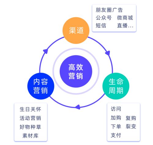 破解私域增長難題，微動(dòng)天下企量SCRM如何以精細(xì)化運(yùn)營賦能企業(yè)