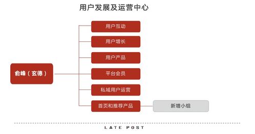 淘寶天貓融合 產(chǎn)品與運(yùn)營策略的協(xié)同攻堅(jiān)